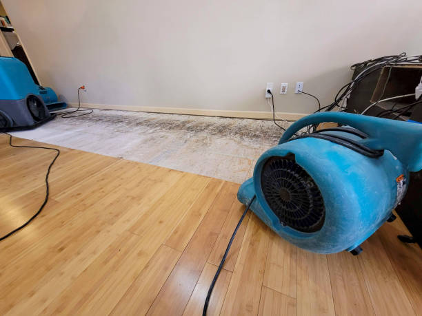 Professional Structural Drying technician working in Marlton, MD